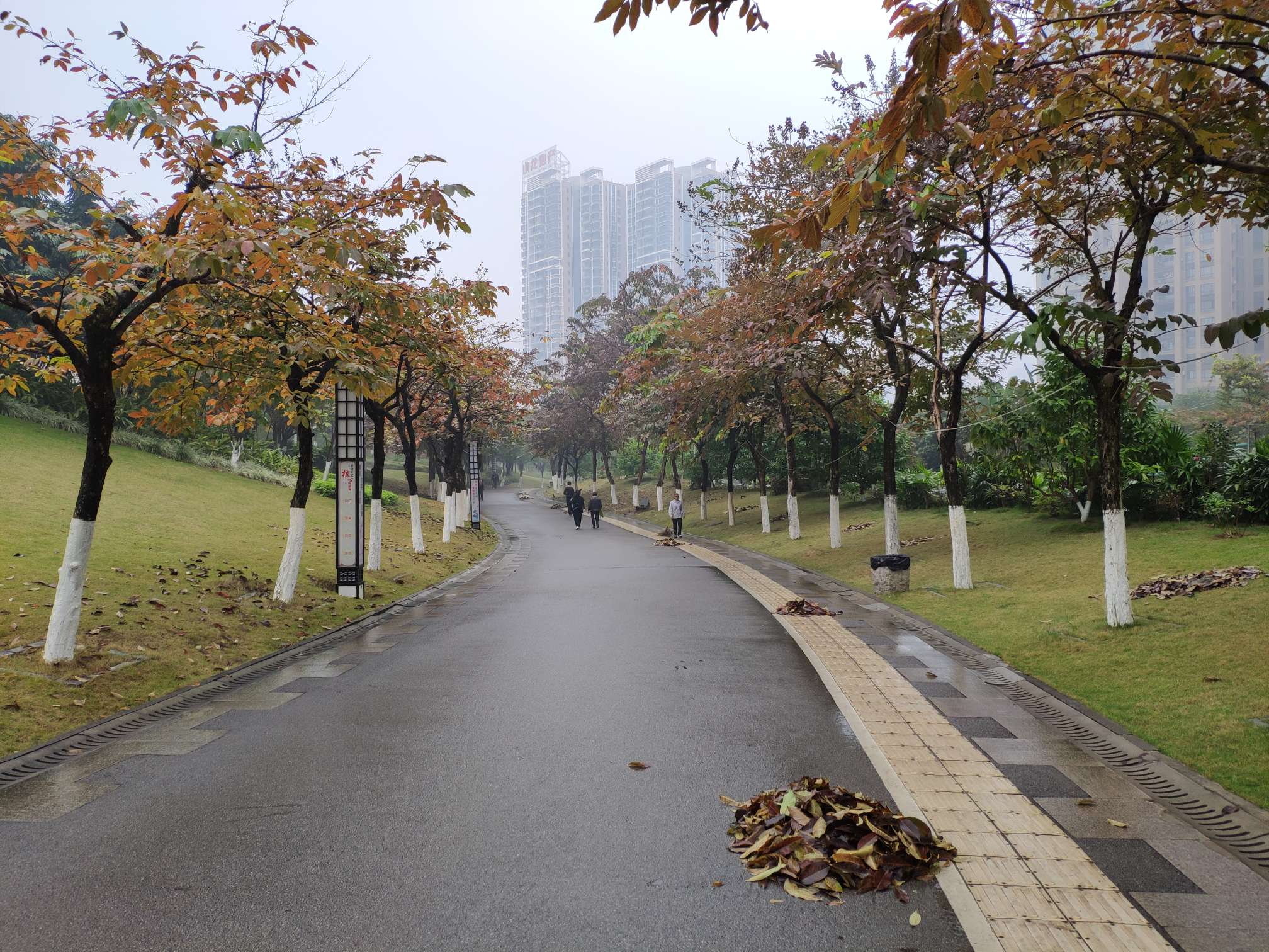 雨中游公园